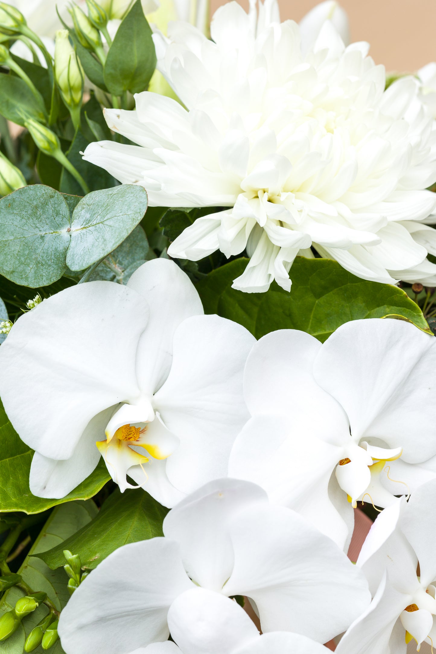 Classic Whites
