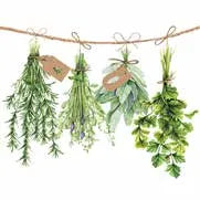 Ambiente Paper Napkins Fresh Herbs