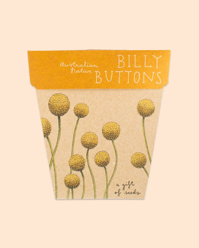 Sow 'n Sow Gift of Seeds (Billy Buttons)