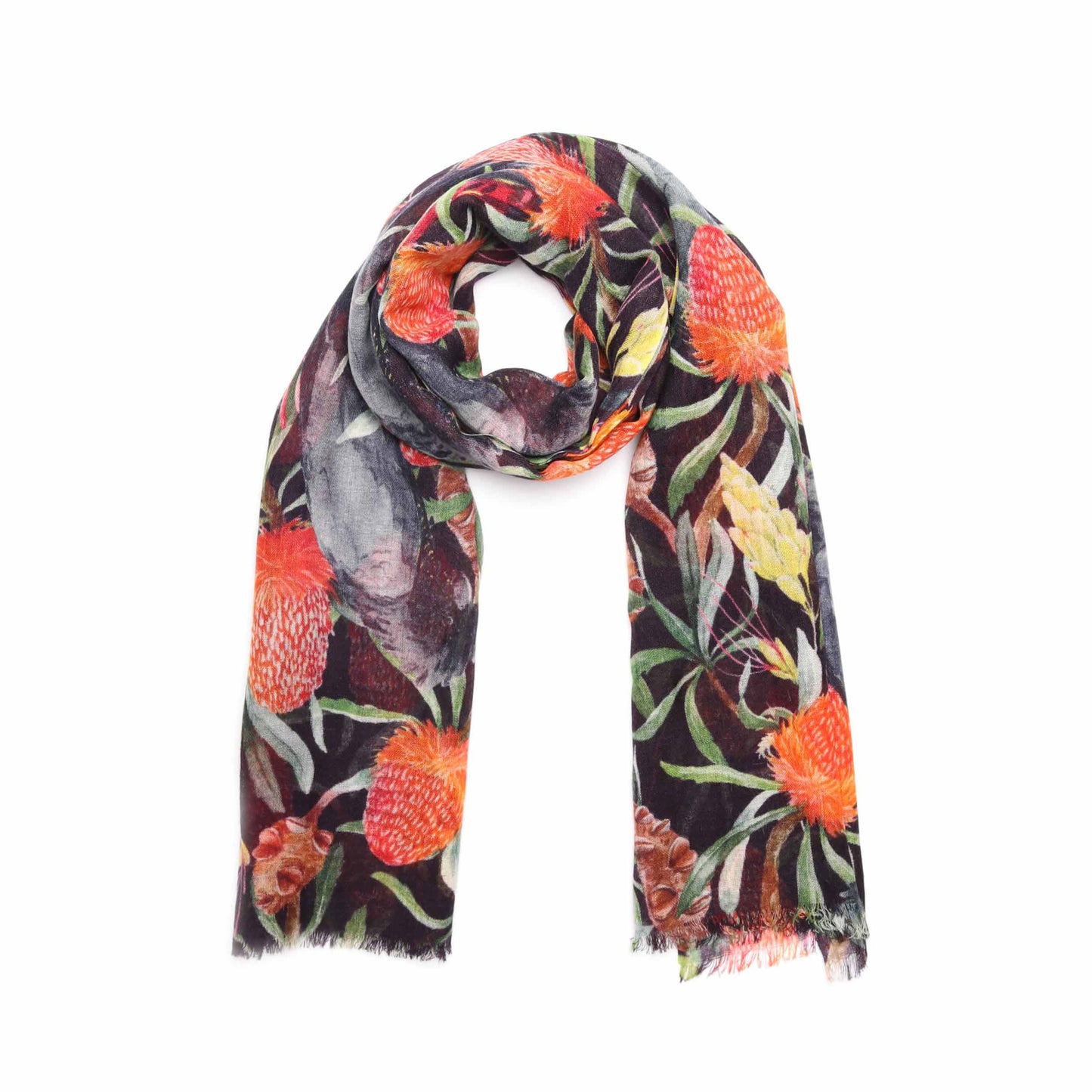 Black Cockatoo Banksia Cotton Modal Scarf