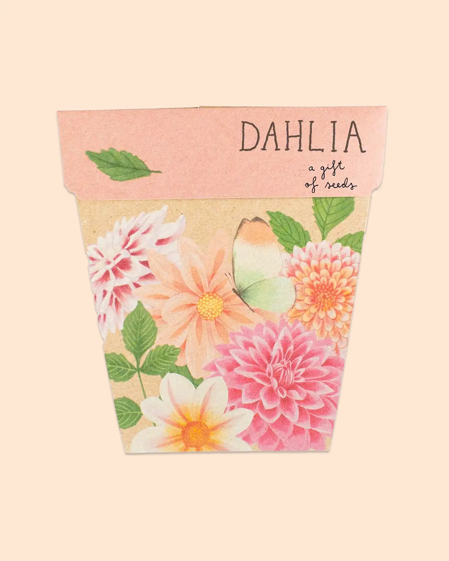 Sow 'n Sow Gift of Seeds (Dahlia)