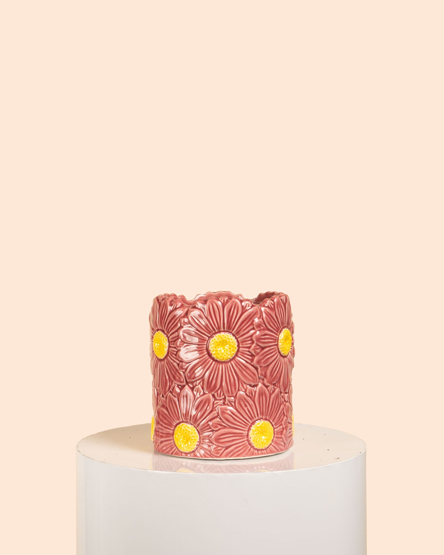 Daisy Cylinder Pot (Rose)