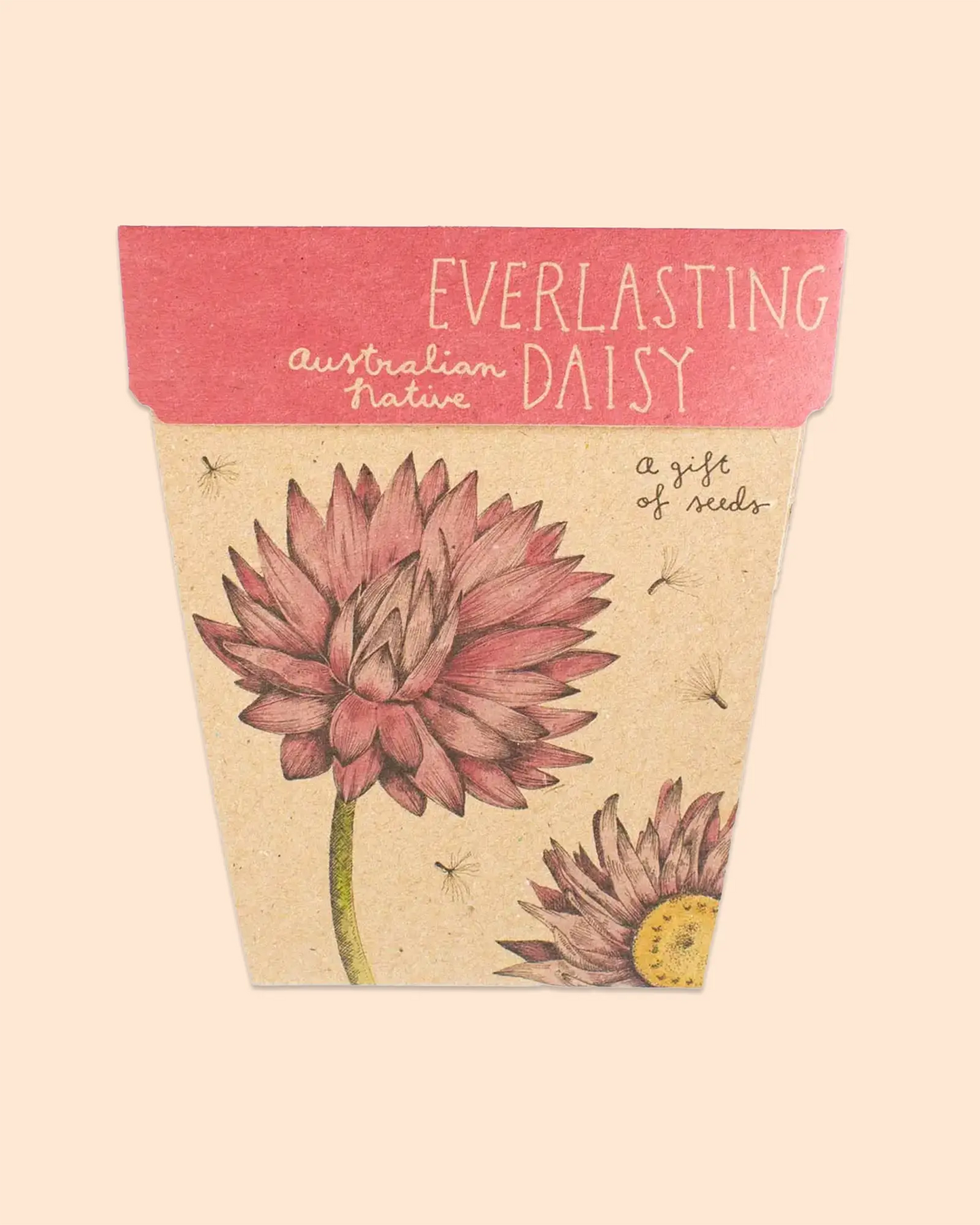 Sow 'n Sow Gift of Seeds (Everlasting Daisy)