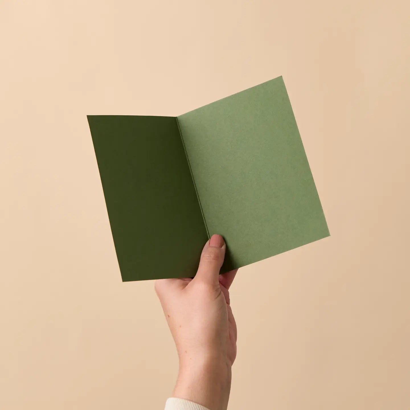 Have A Fabulous Birthday (Olive Green) Card