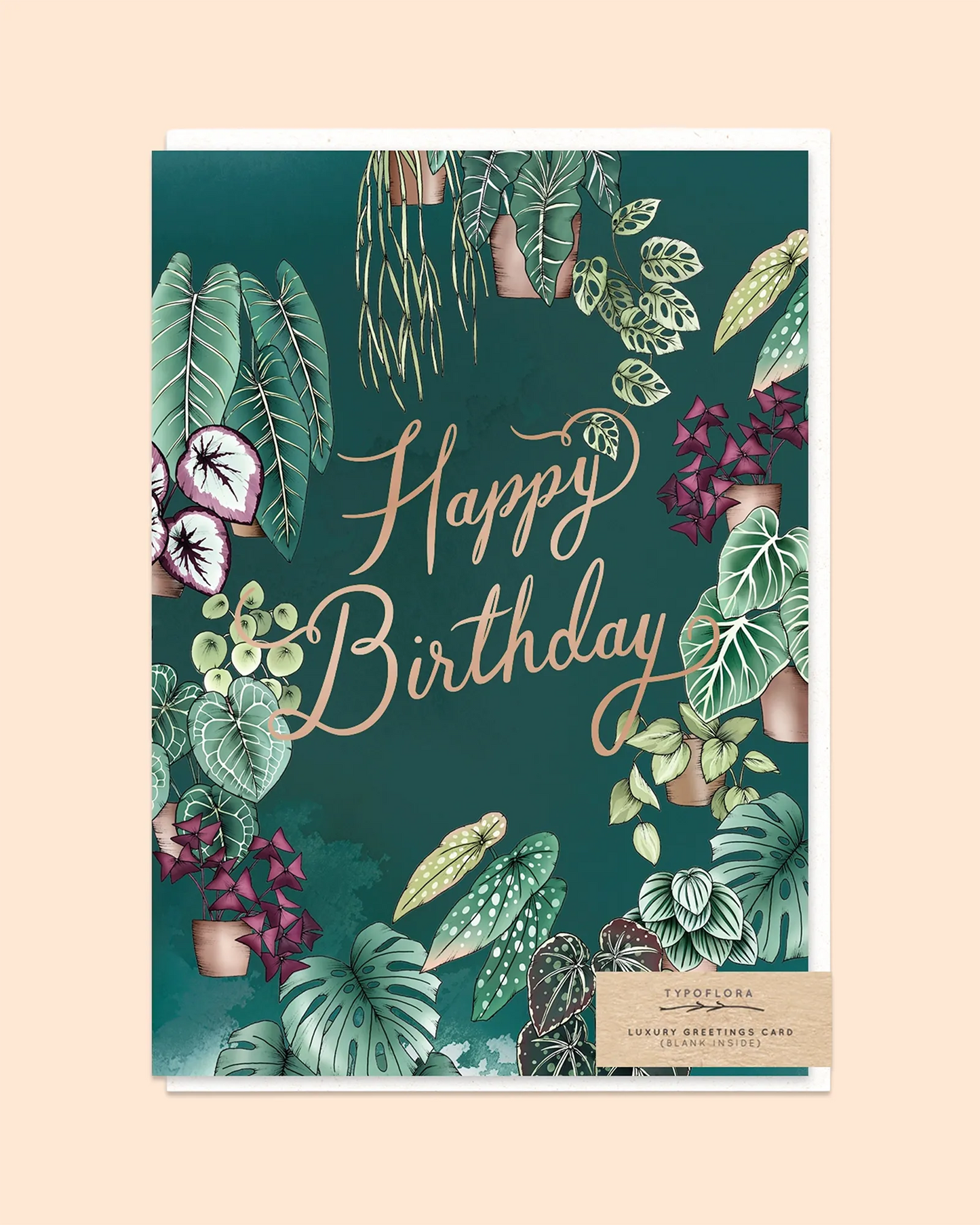 Houseplants Birthday Card