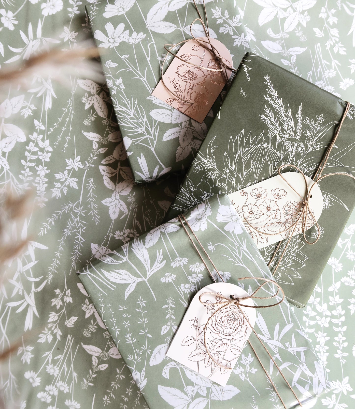 Typoflora King Protea in Olive Tissue Paper