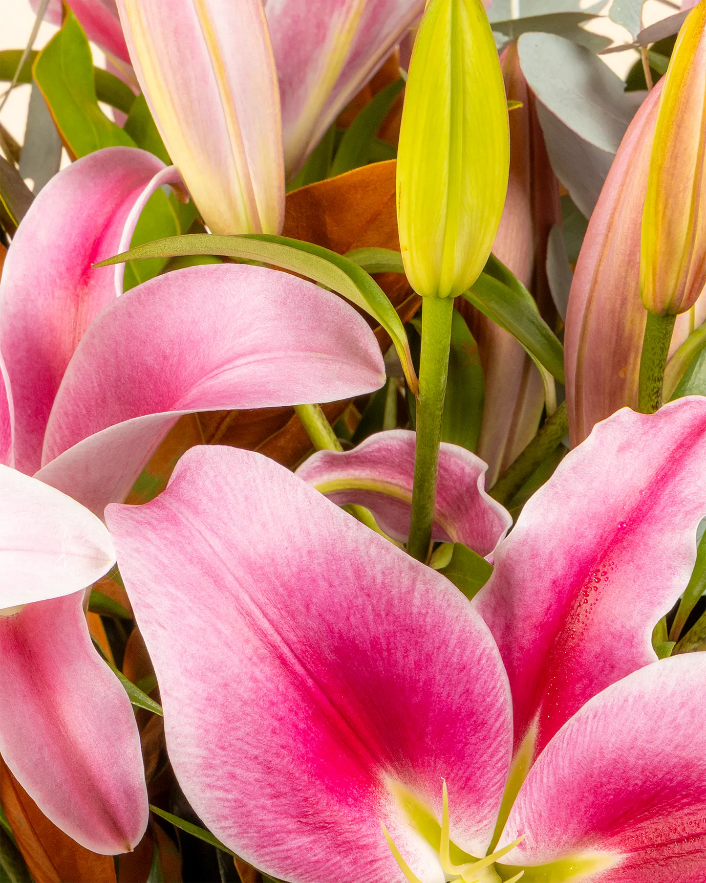 Luxe Lily (Premium)