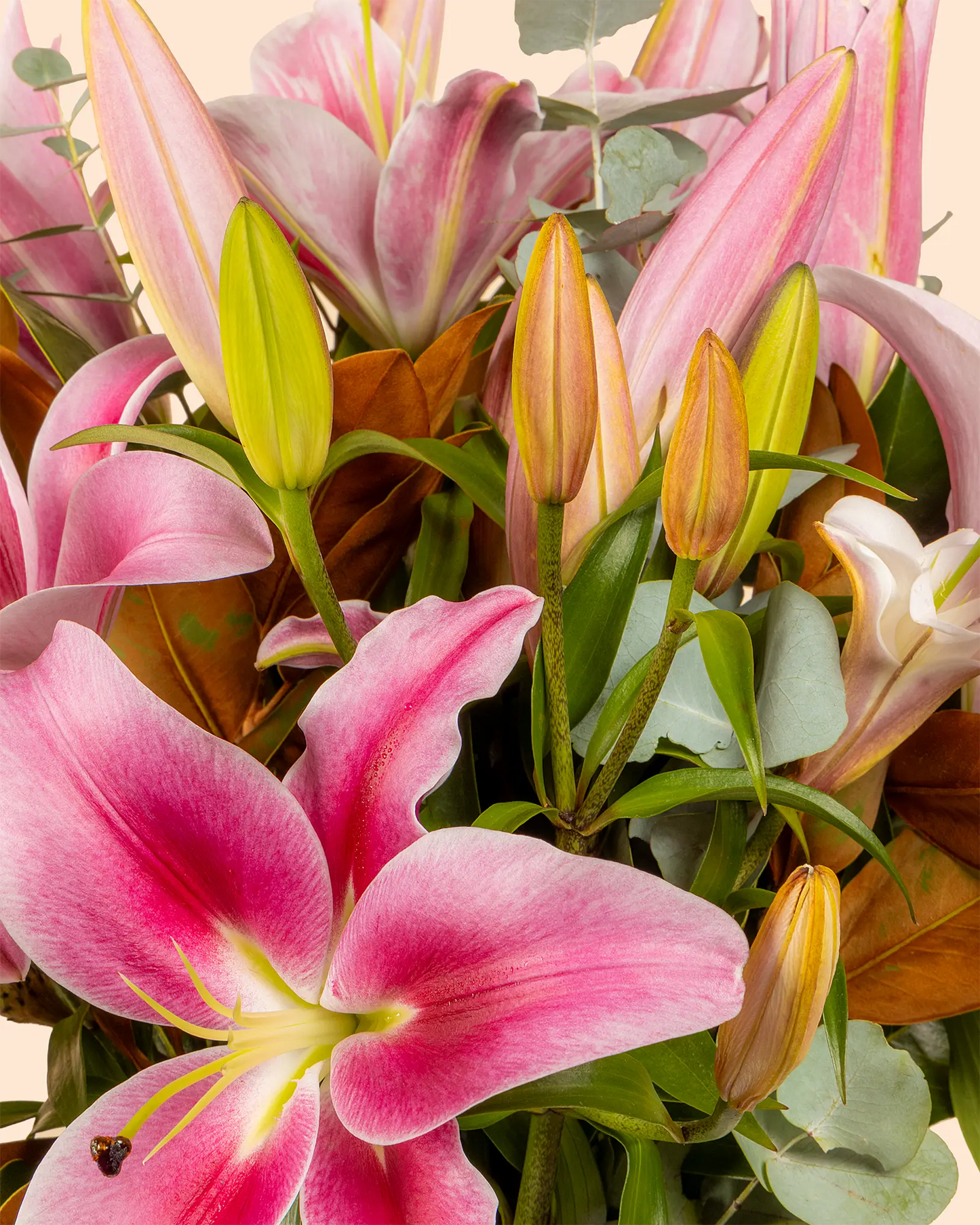 Luxe Lily (Premium)
