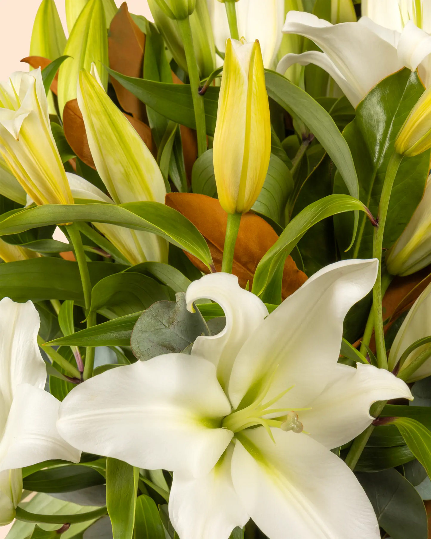 Luxe Lily (Signature)