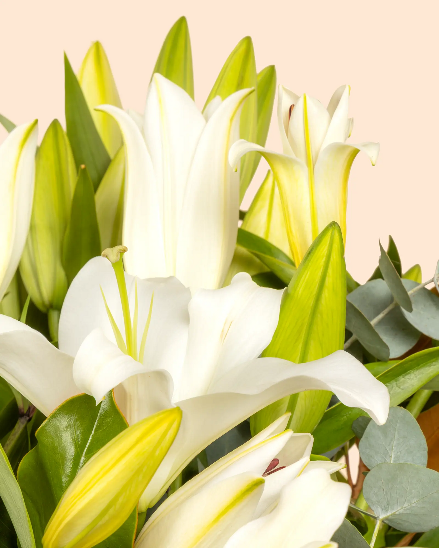 Luxe Lily (Signature)