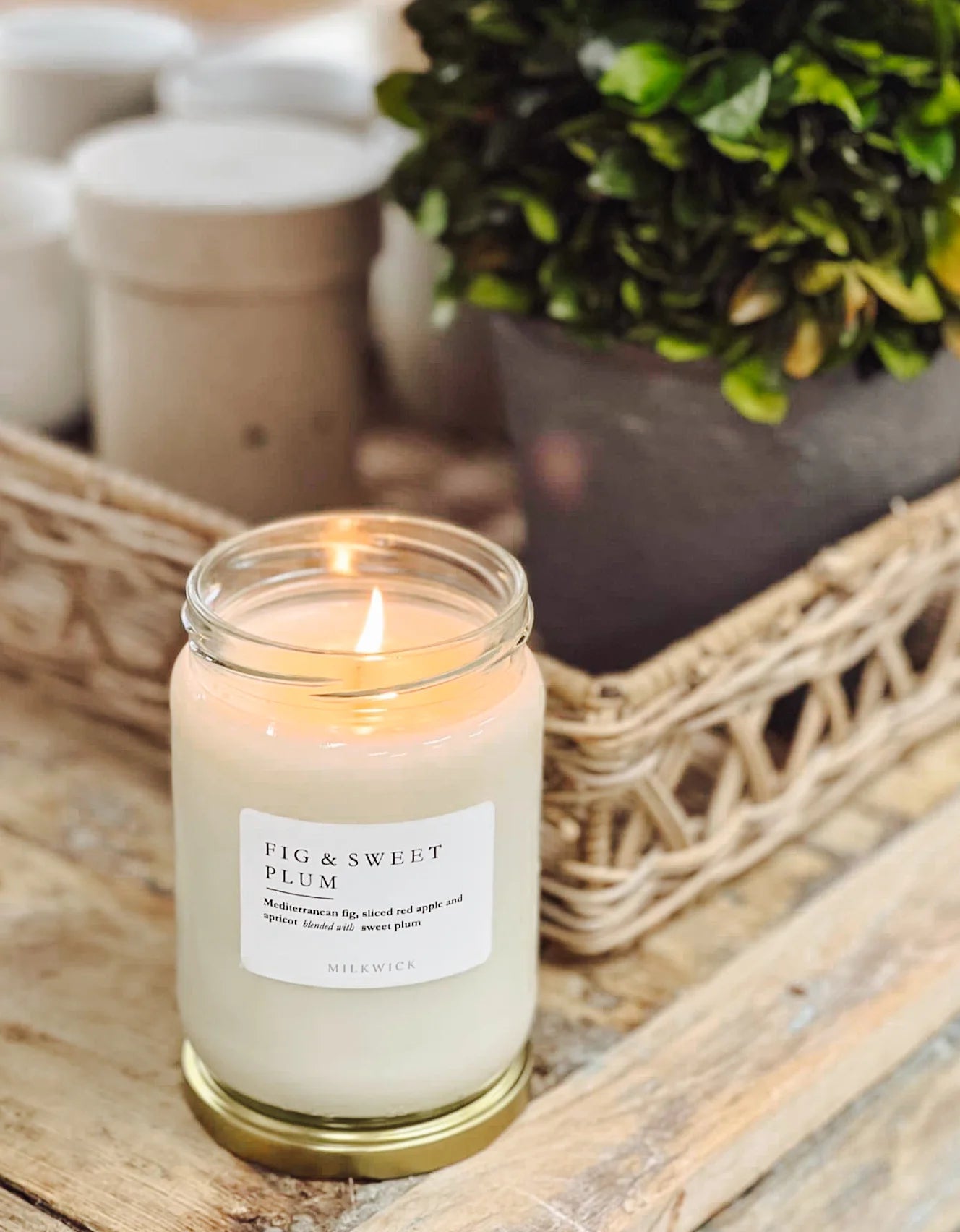 Milkwick Fig & Sweet Plum Candle