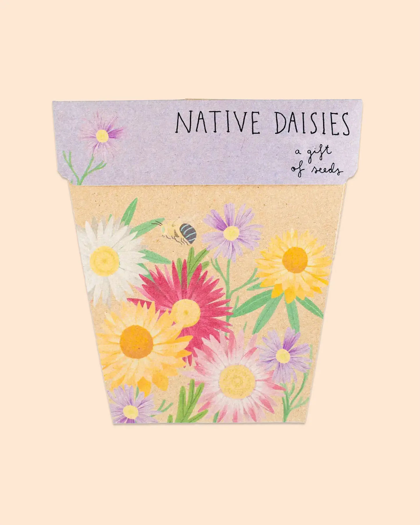 Sow 'n Sow Gift of Seeds (Native Daisies)