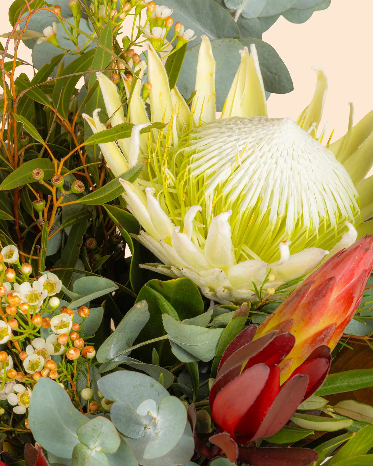 Native Flowers (Premium)