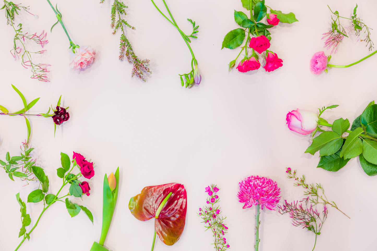 FLOWERS ON OXFORD Brisbane Bulimba Florist Flowers On Oxford