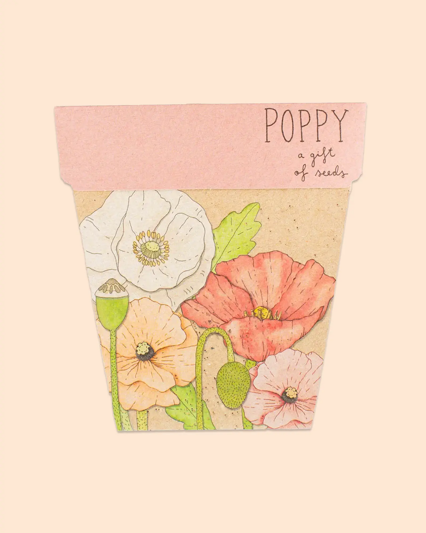 Sow 'n Sow Gift of Seeds (Poppy)