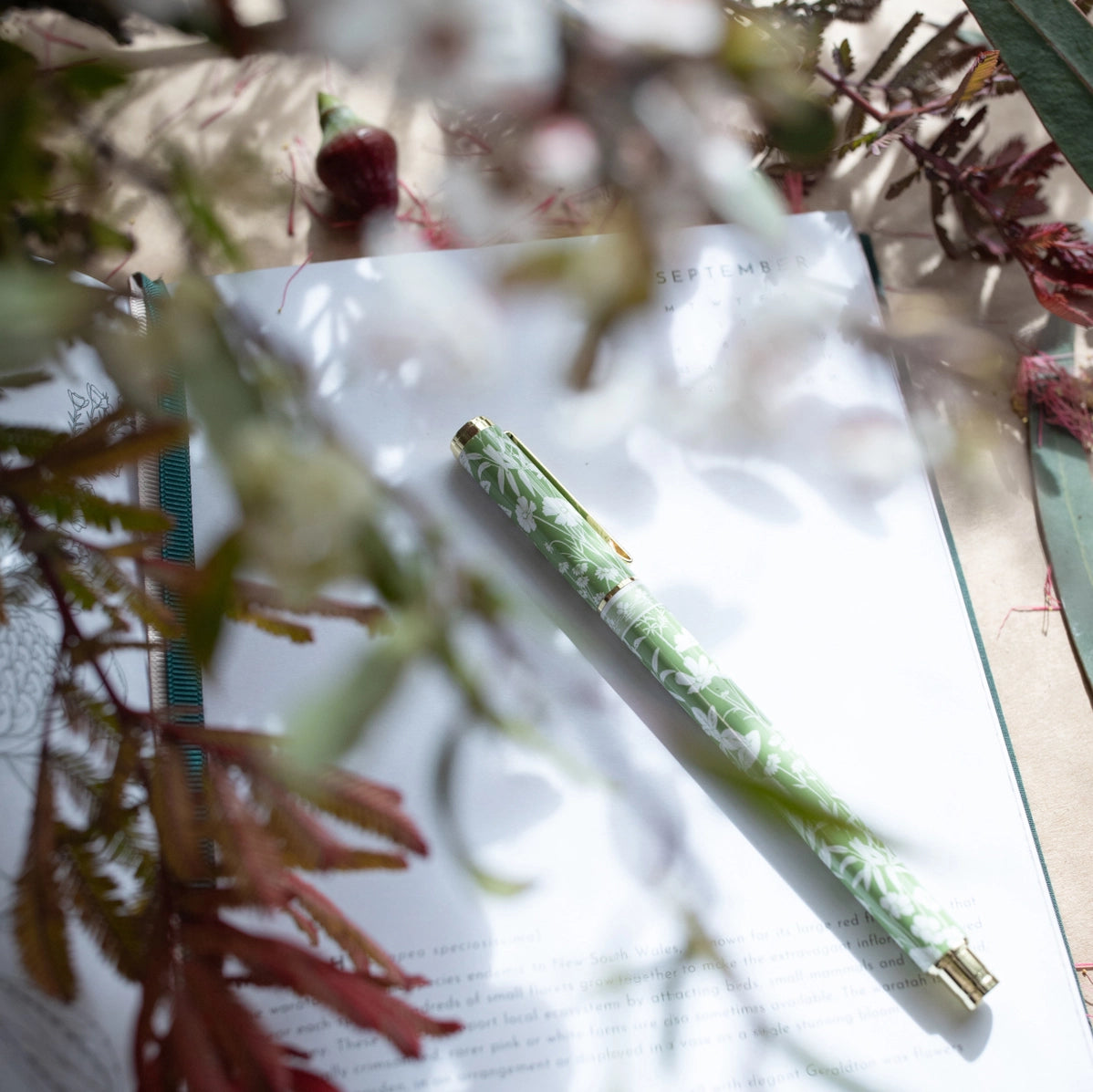Typoflora Sage Botanical rollerball pen on writing paper among blossom