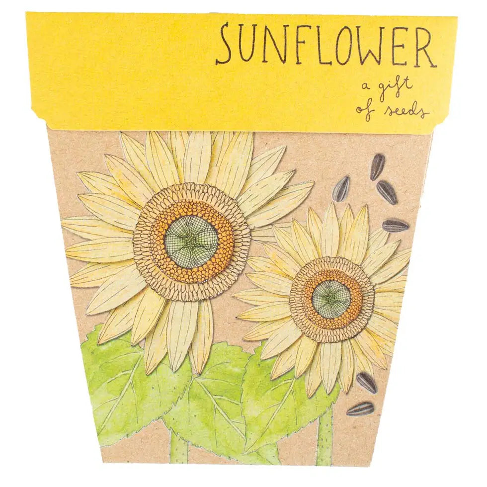 Sow 'n Sow Gift of Seeds