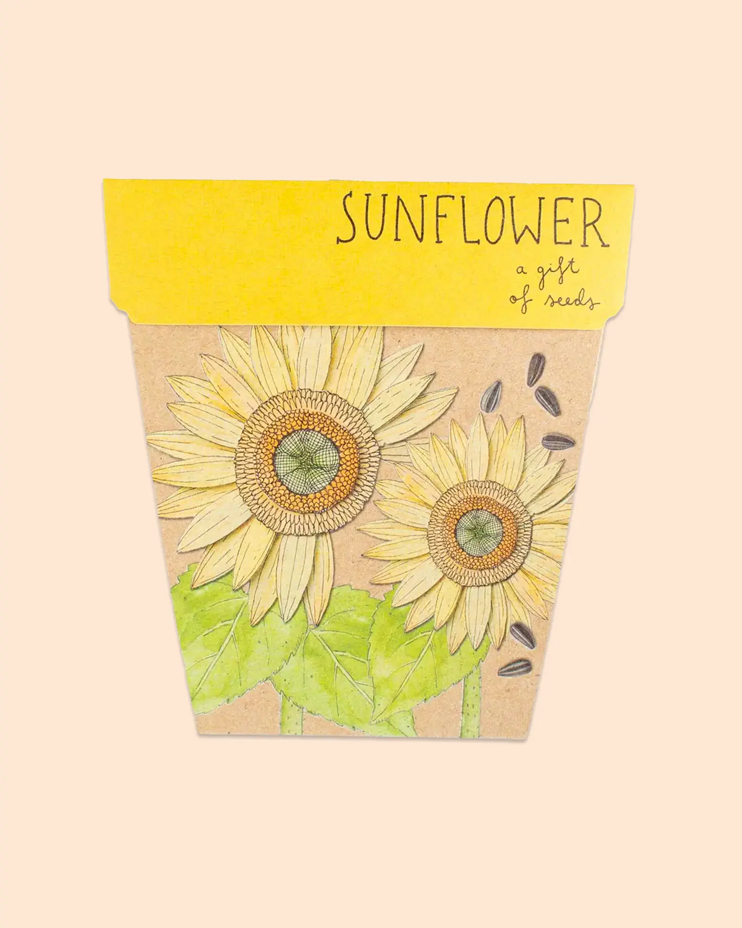 Sow 'n Sow Gift of Seeds (Sunflower)