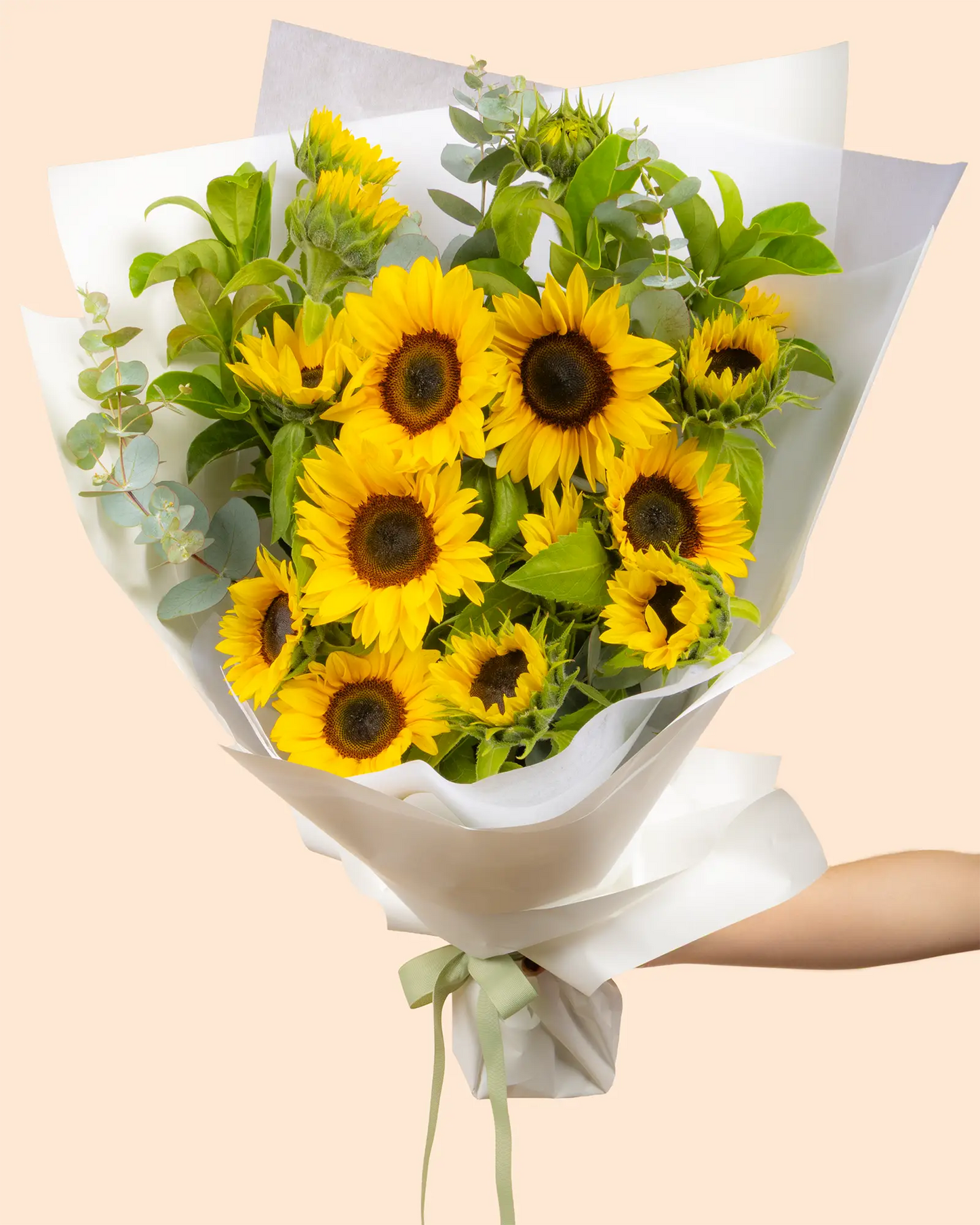 Sunny Days (Premium)