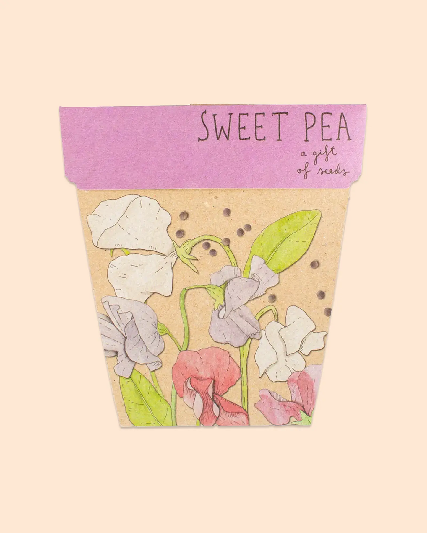 Sow 'n Sow Gift of Seeds (Sweet Pea)