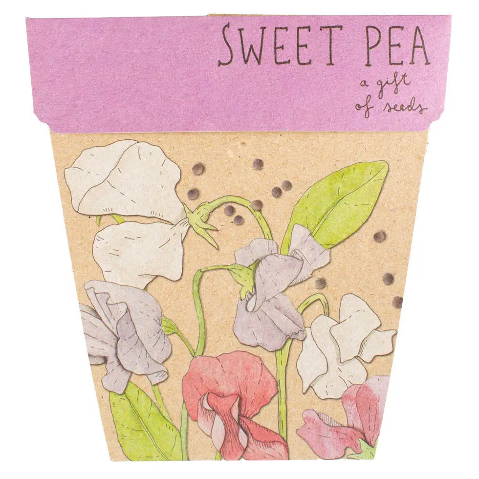 Sow 'n Sow Gift of Seeds