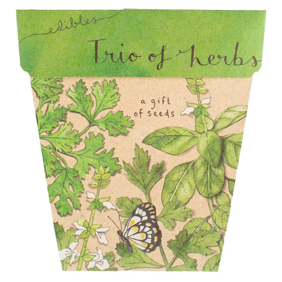 Sow 'n Sow Gift of Seeds