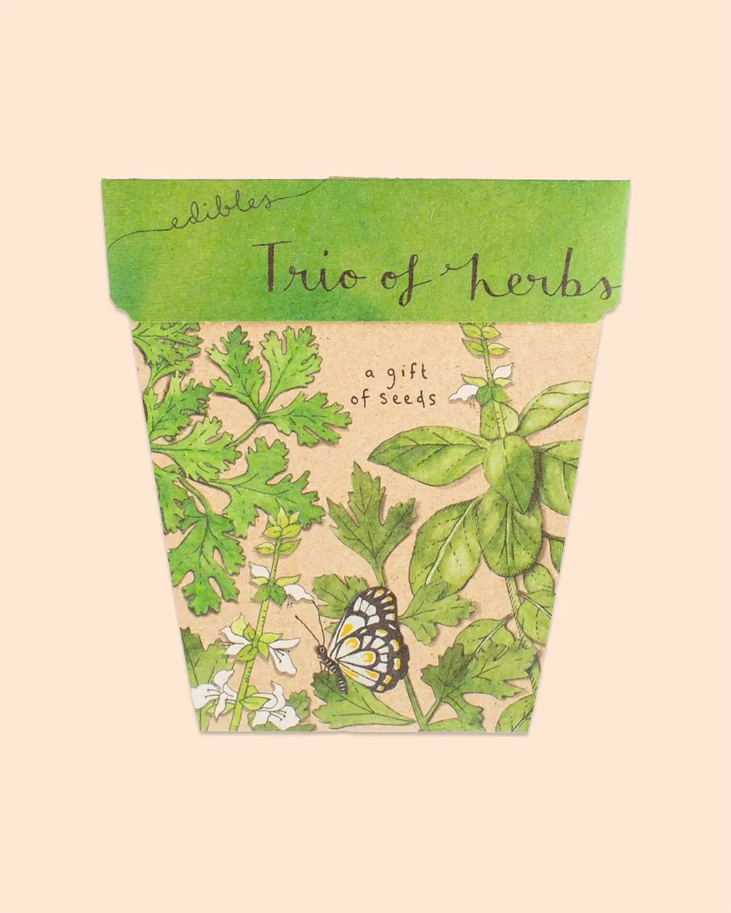Sow 'n Sow Gift of Seeds (Trio of Herbs)