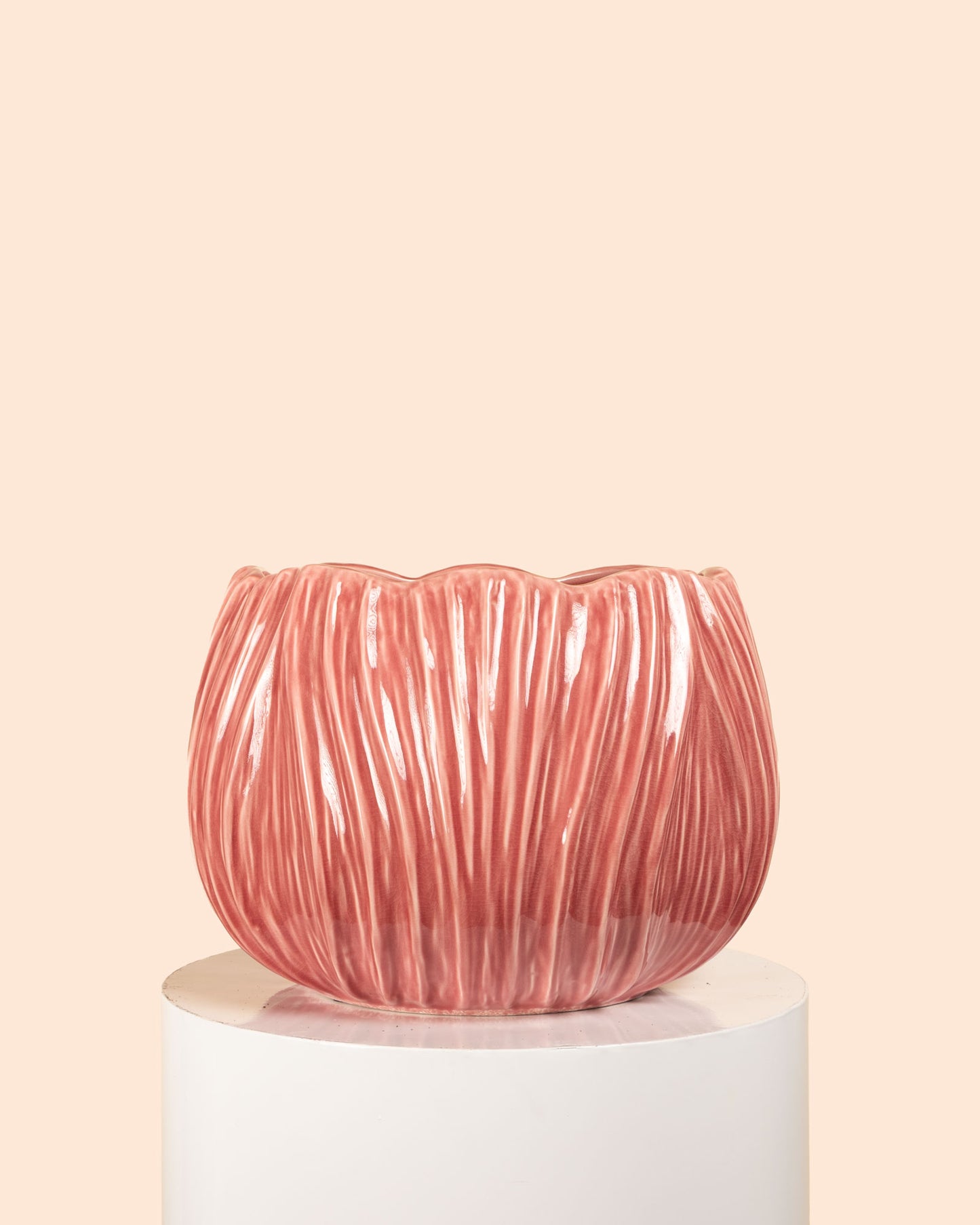Tulip Pot (Rose)