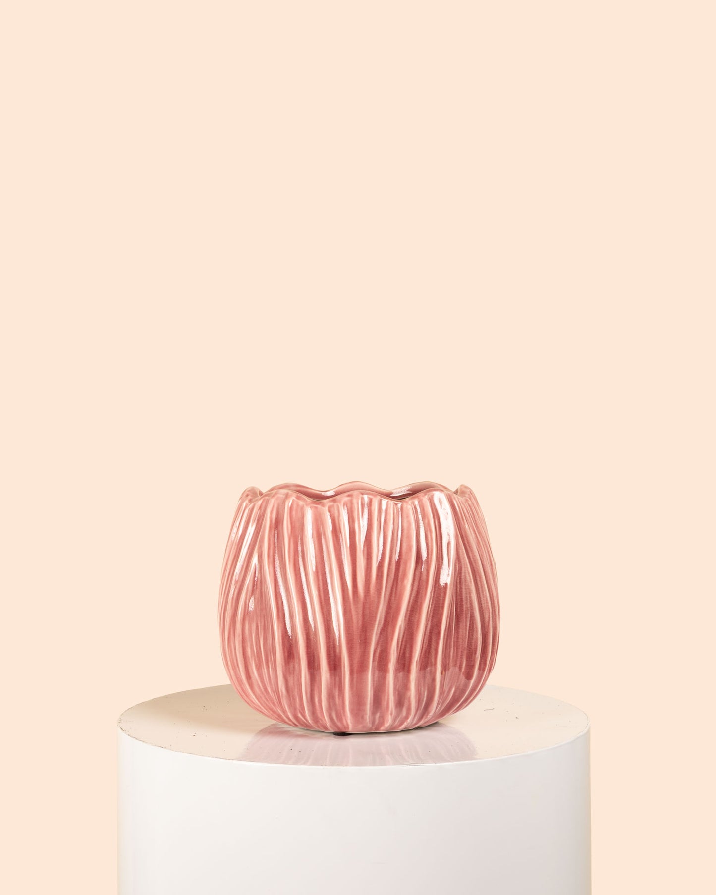 Tulip Pot (Rose)