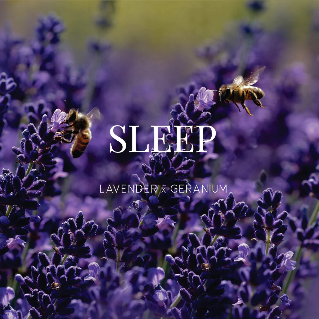 Wild Emery Relax Shower Steamer Jasmine X Lavender