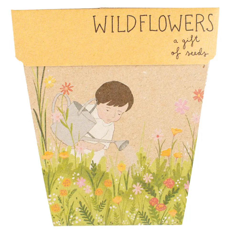Sow 'n Sow Gift of Seeds