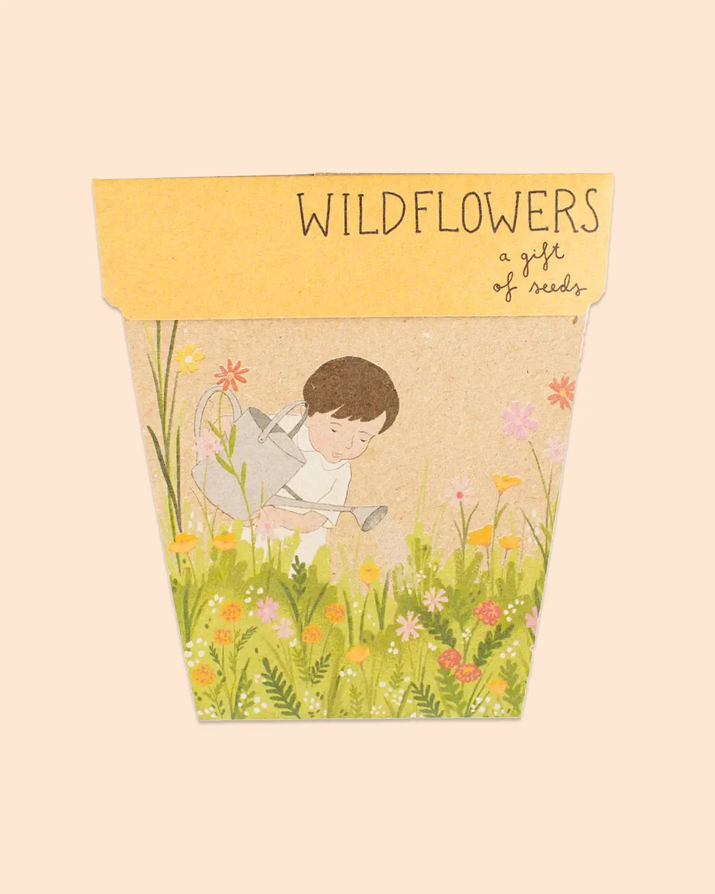 Sow 'n Sow Gift of Seeds (Wildflowers)