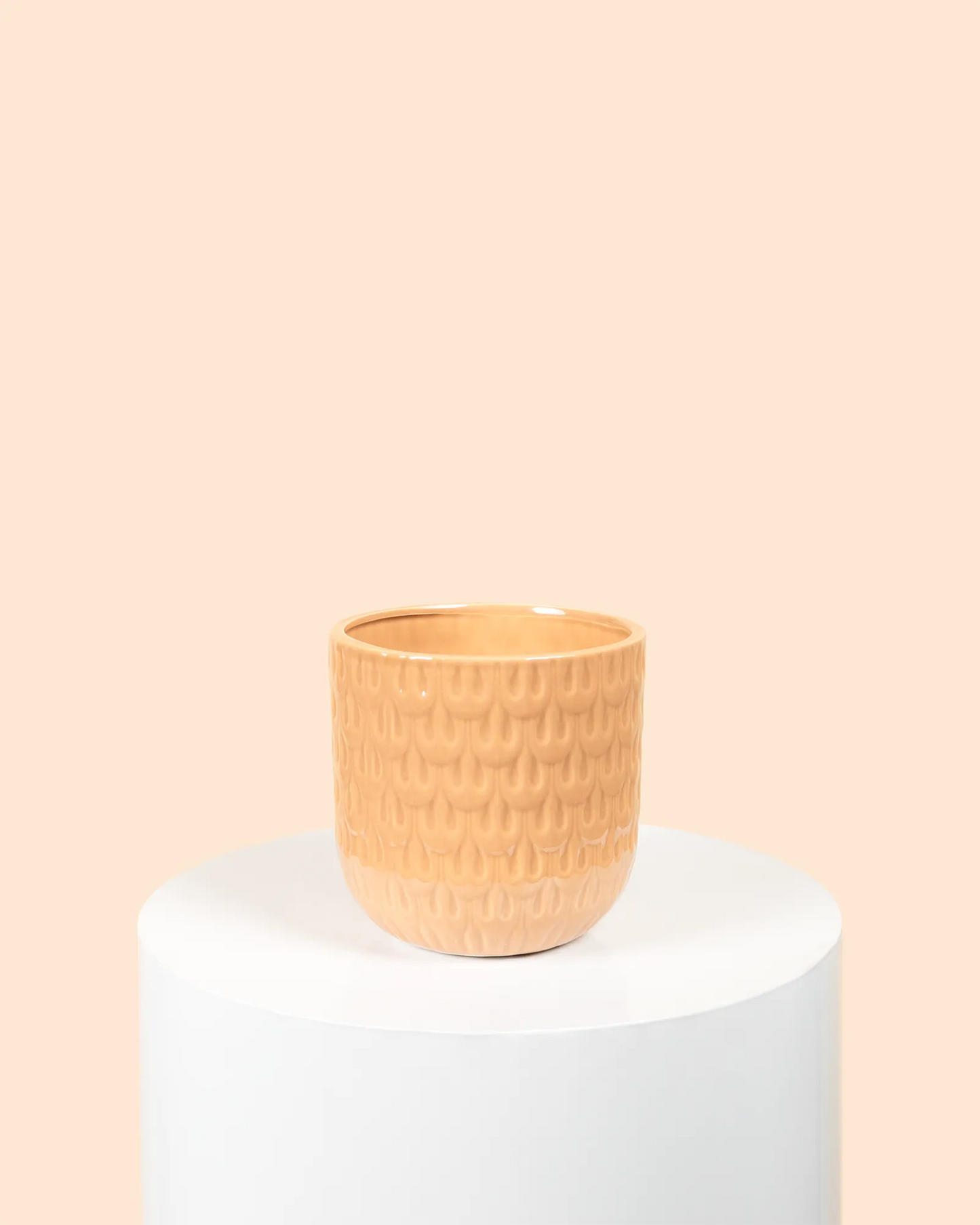 Willow Pot (Blush)
