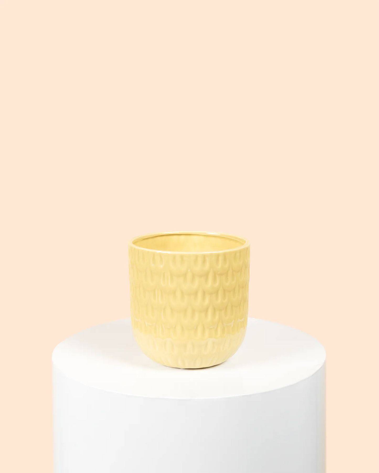 Willow Pot (Ochr)