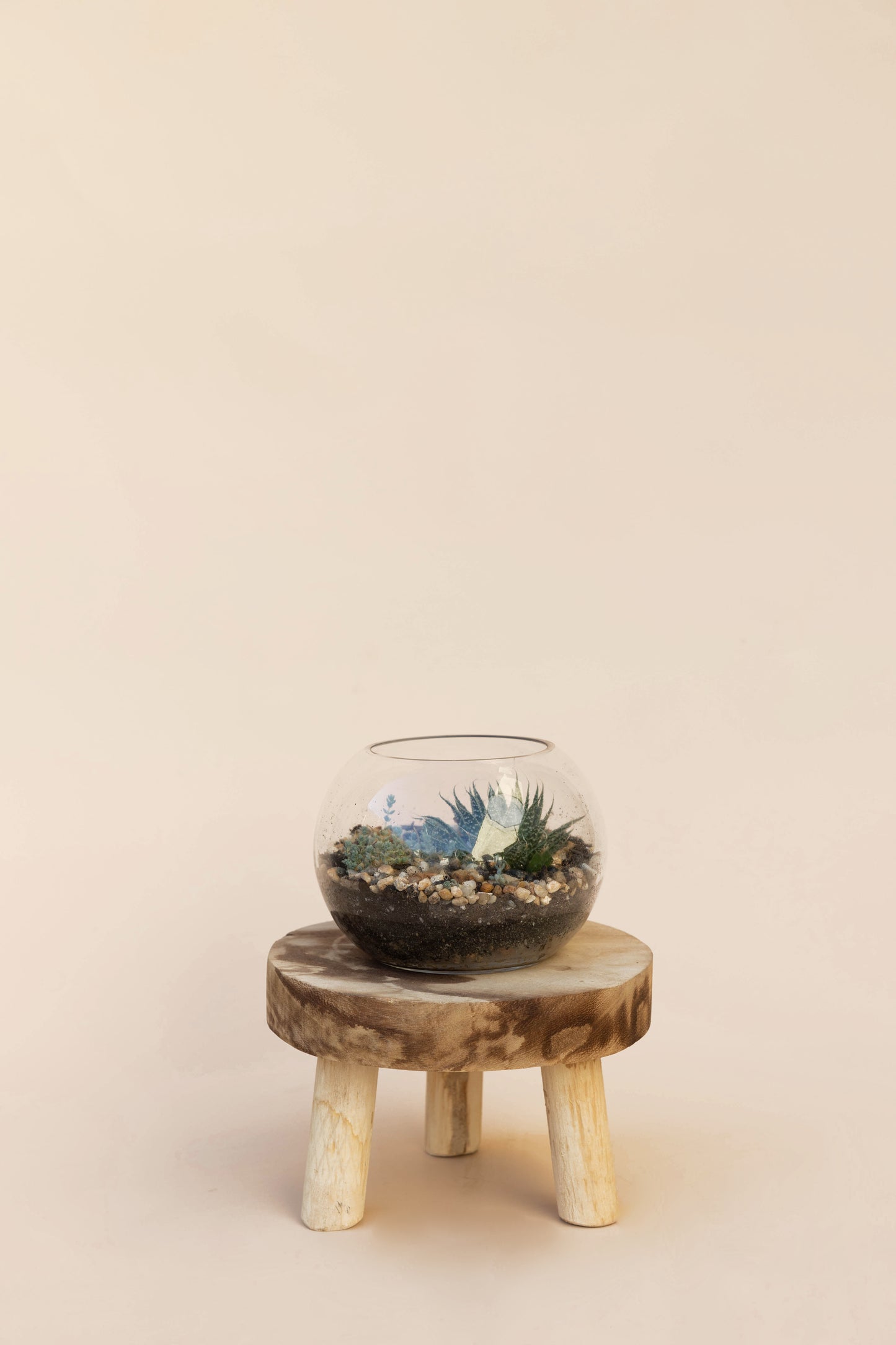 I'm a succa for you - Succulent fishbowl
