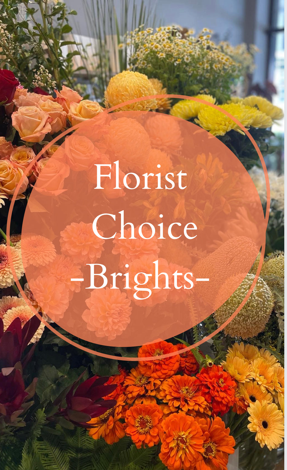 Florist Choice - Bright
