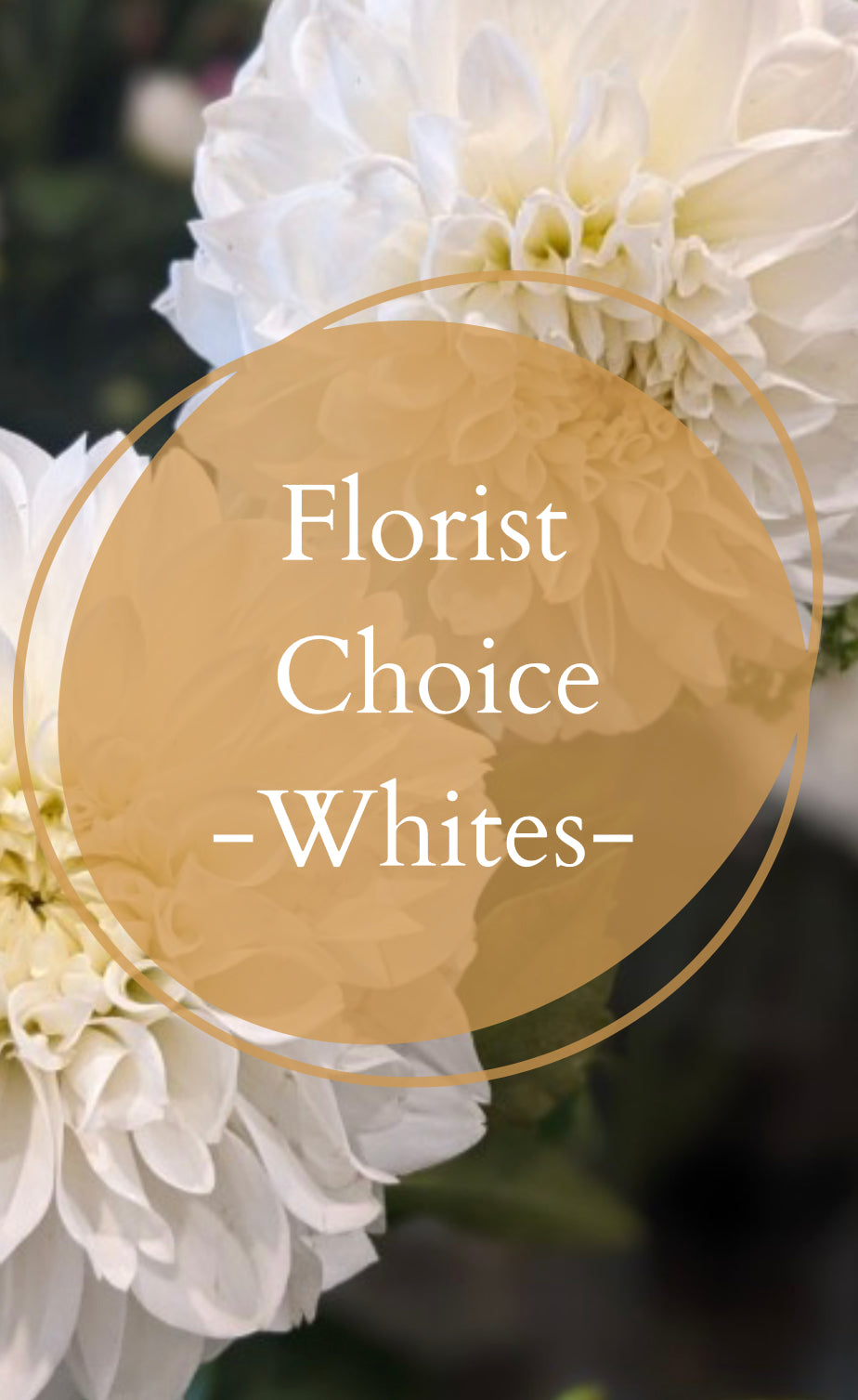 Florist Choice - Whites