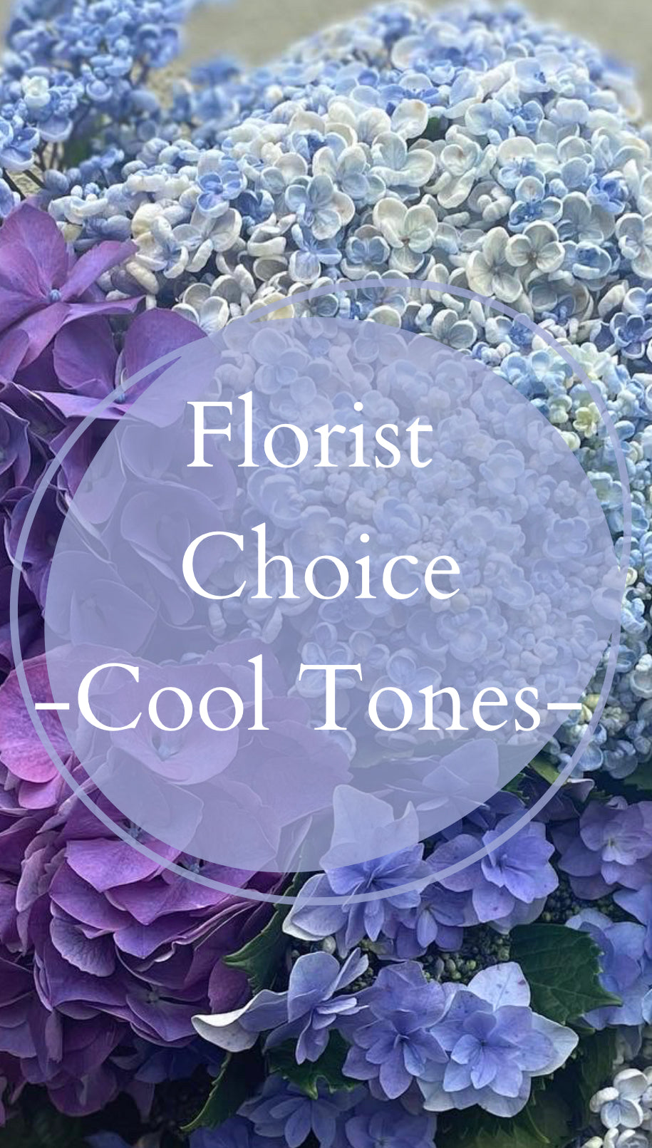 Florist Choice  - Cool Tones