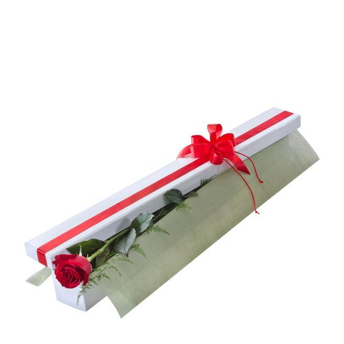 Arrow through my heart - Premium (Single Long stem Red Rose In a Presentation Gift Box)